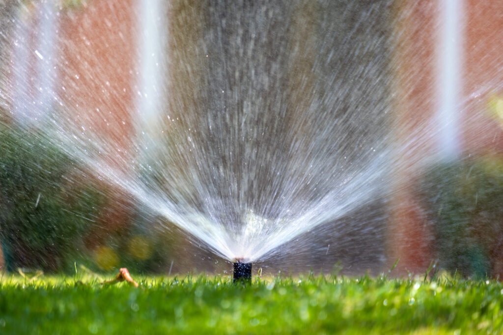 Sprinkler Lawn