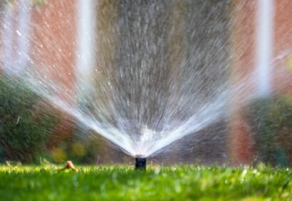 Sprinkler Lawn