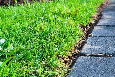 Lawn Edging